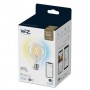 Bec LED inteligent WiZ Connected Filament Clear G95,Wi-Fi, E27, 6.7W (60W), 806 lm, lumina alba (2700-6500K), compatibilGoogle A