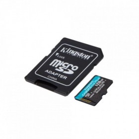 Card de Memorie MicroSDHC Kingston Canvas GO Plus, 128GB, Class 10