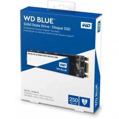 WD SSD 250GB BLUE M.2 WDS250G2B0B