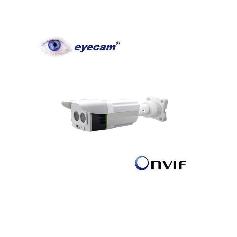 Camera IP Megapixel Eyecam EC-1203 - 1Mp