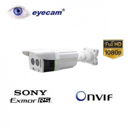 Camere Supraveghere Camera IP full HD 1080P 2.4MP cu inregistrare pe tf card Eyecam EC-1205 Eyecam