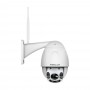 FoscamFoscam FI9928P Camera IP Wireless Speed Dome PTZ full HD 5X 60M