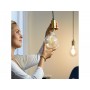 Bec LED inteligent vintage (decorativ) WiZ Connected Filament ClearG125, Wi-Fi, E27, 6.7W (60W), 806 lm, lumina alba (2700-6500K